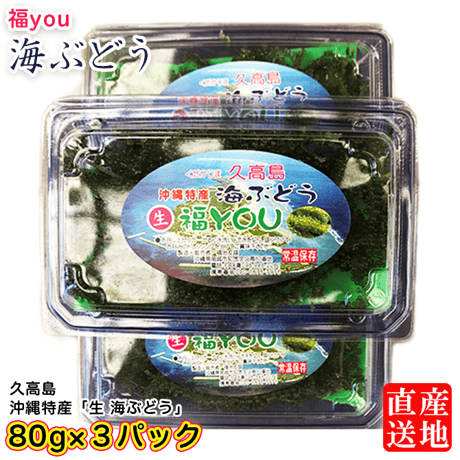 うみぶどう 送料無料 海ぶどう 沖縄県産 タレ付き【500g】 A級品大粒 海洋