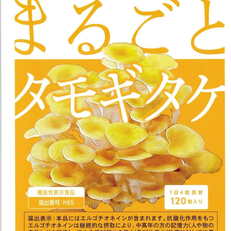 キノコさん専用 まるごとタモギダケ | 新健勝苑HB