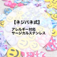 【ネジバネ式パーツ1ペア】サージカルステンレス