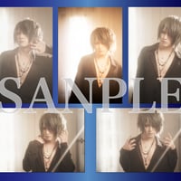 写真セットB