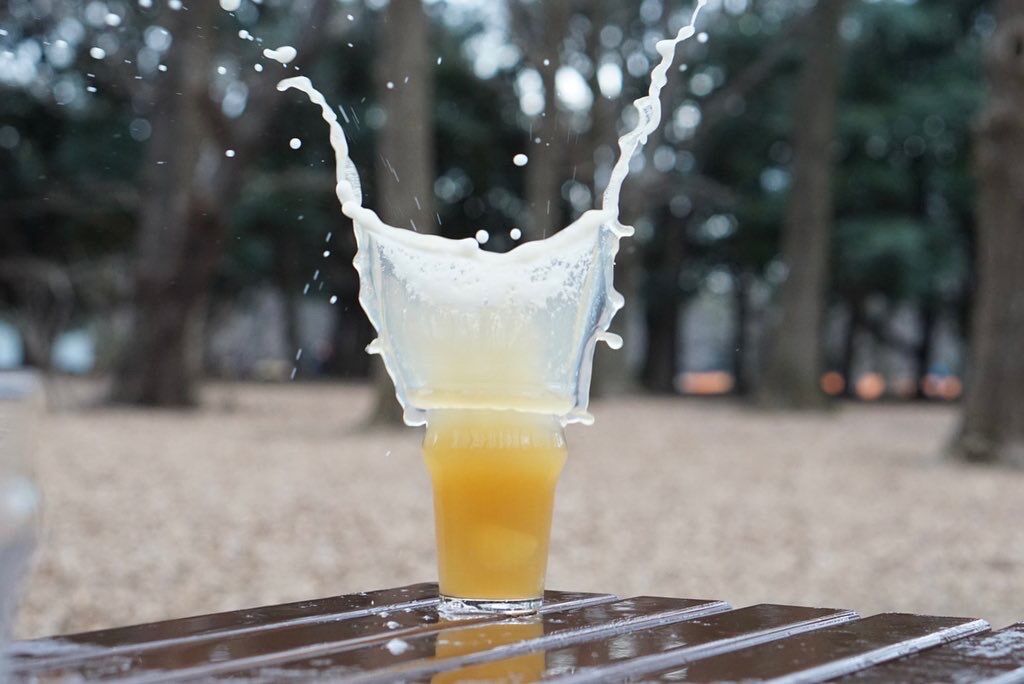 4本単品セット】1tap IPA(ワンタップ アイピーエー) - クラフトビール