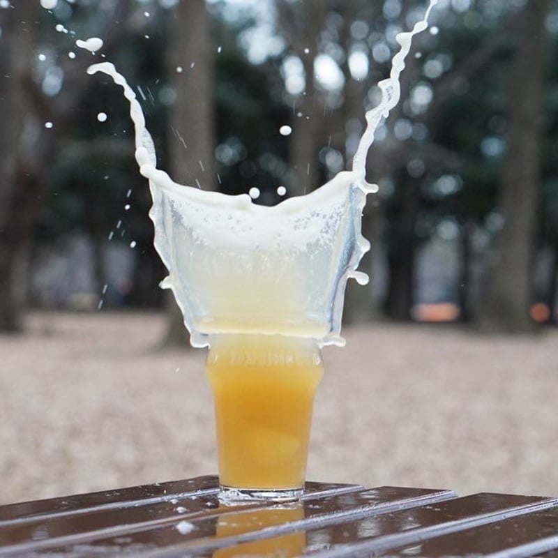 4本単品セット】1tap Hazy IPA(ワンタップ ヘイジーアイピーエー