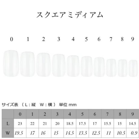 【𝗌𝗂𝗓𝖾】