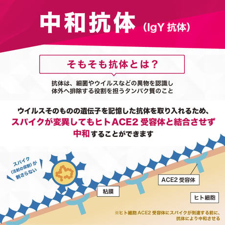 【定期便】TOTAL BALANCE HEALTH JELLY　※送料無料