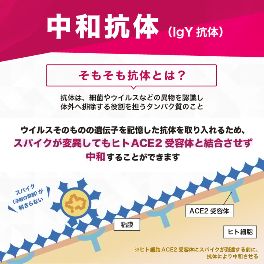 62382d69a861133e9412ed5a