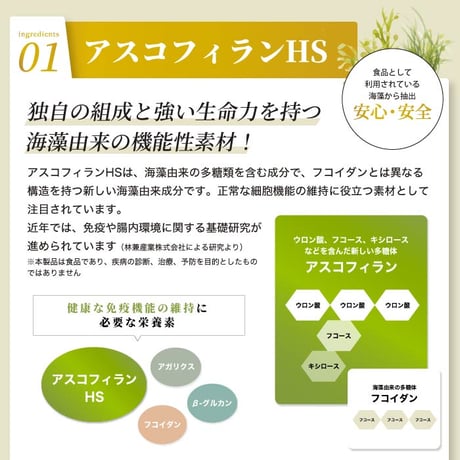 【定期便】Medi-As　※送料無料