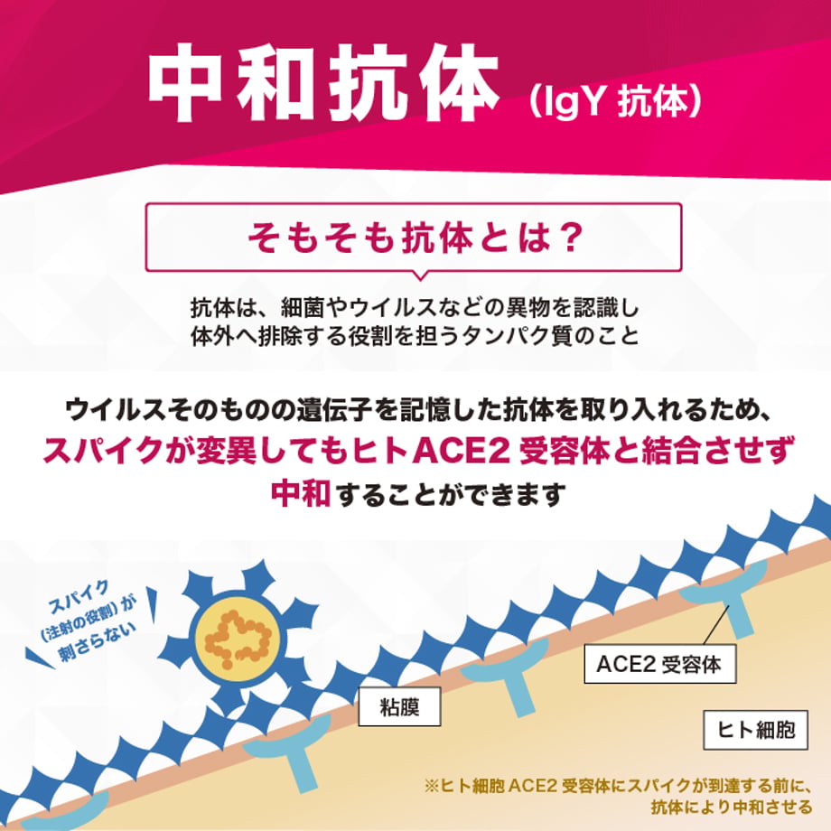 61e3dd1facbcb0722f75ebc5