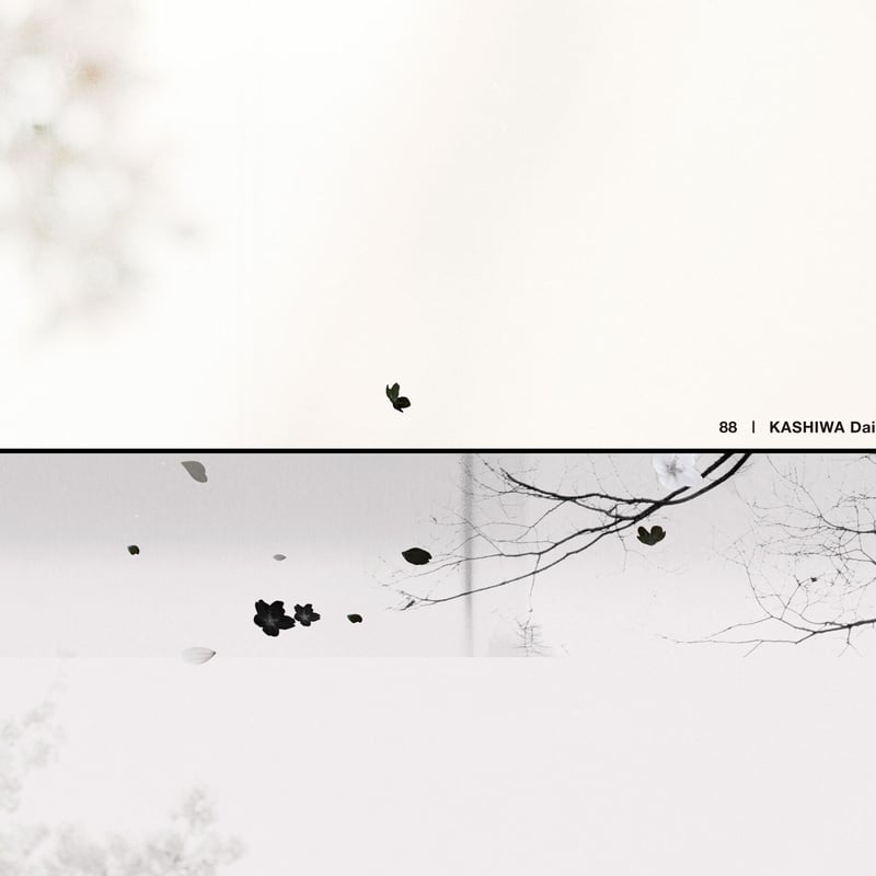 88 - KASHIWA Daisuke | KASHIWA Daisuke