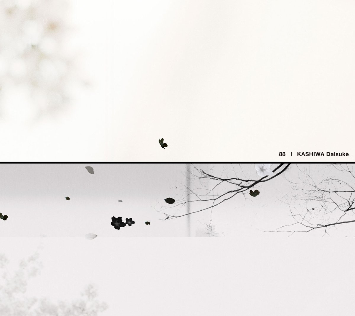 88 - KASHIWA Daisuke | KASHIWA Daisuke