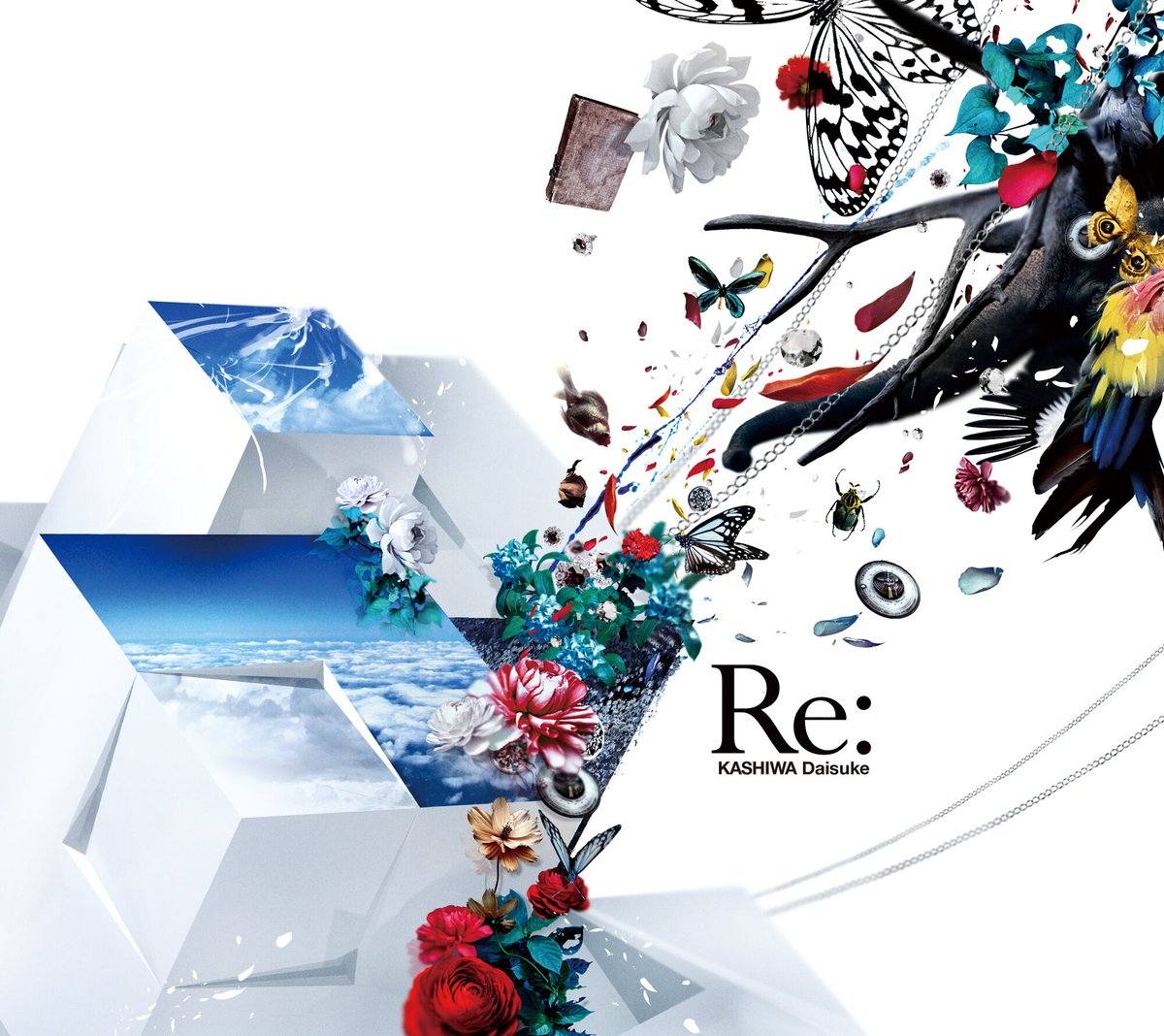 Re: - KASHIWA Daisuke | KASHIWA Daisuke Re: - KASHIWA Daisuke | KASHIWA Daisuke