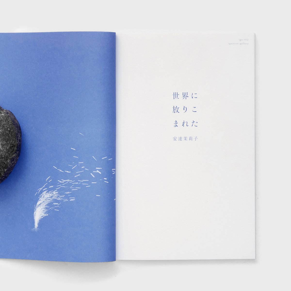 安達茉莉子さん　原画1 世界に放りこまれた』安達茉莉子 ※特典付き | twililight's STORE