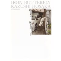 『鉄の胡蝶は』保坂和志