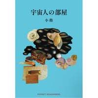 『宇宙人の部屋』小指