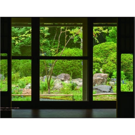 『庭のかたちが生まれるとき 庭園の詩学と庭師の知恵』山内朋樹