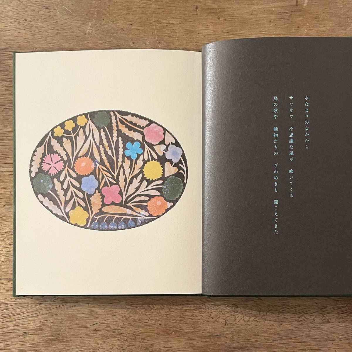 ペンキや　蟹塚縁起　マジョモリ　ワニ　梨木香歩　絵本セット 蛇の棲む水たまり / 梨木 香歩 (著) 鹿児島 睦 (著) (ブルー