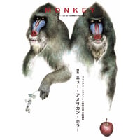 『MONKEY』vol. 33 特集 ニュー・アメリカン・ホラー　ブライアン・エヴンソン＋柴田元幸 共同編集