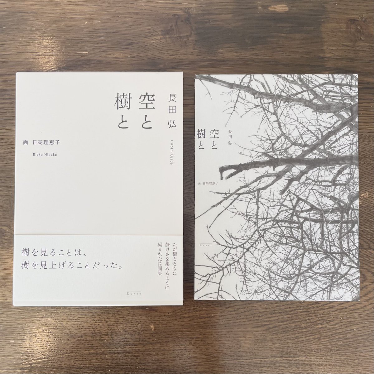 【中古】 空と樹と/エクリ/長田弘 空と樹と | Ecrit bookstore