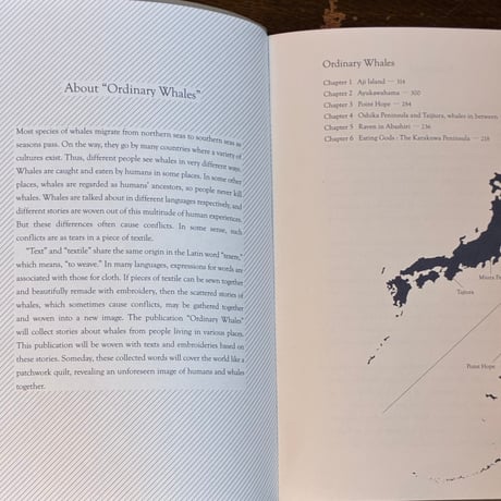 『ありふれたくじら』是恒さくら
