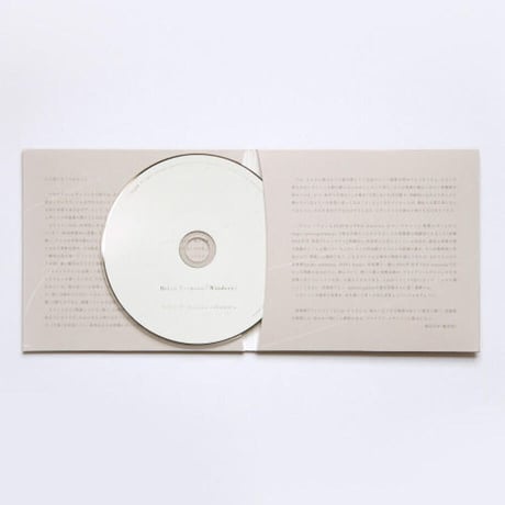 柴田元幸×haruka nakamura / ブライアン・エヴンソン『ウインドアイ』【CD】