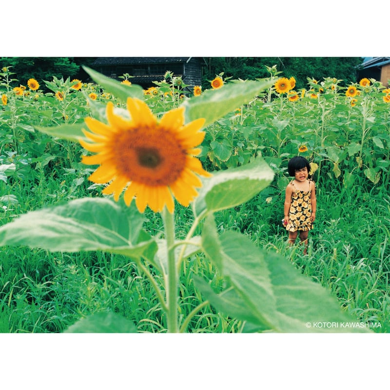 川島小鳥 写真集 『未来ちゃん』【新装版】 | twililight's STORE