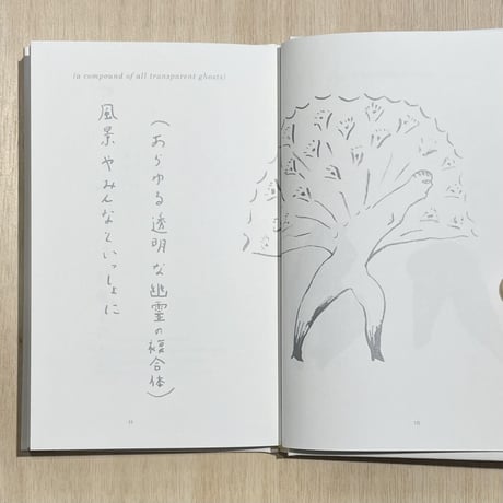 『春と修羅』宮沢賢治・作  塩川いづみ・絵