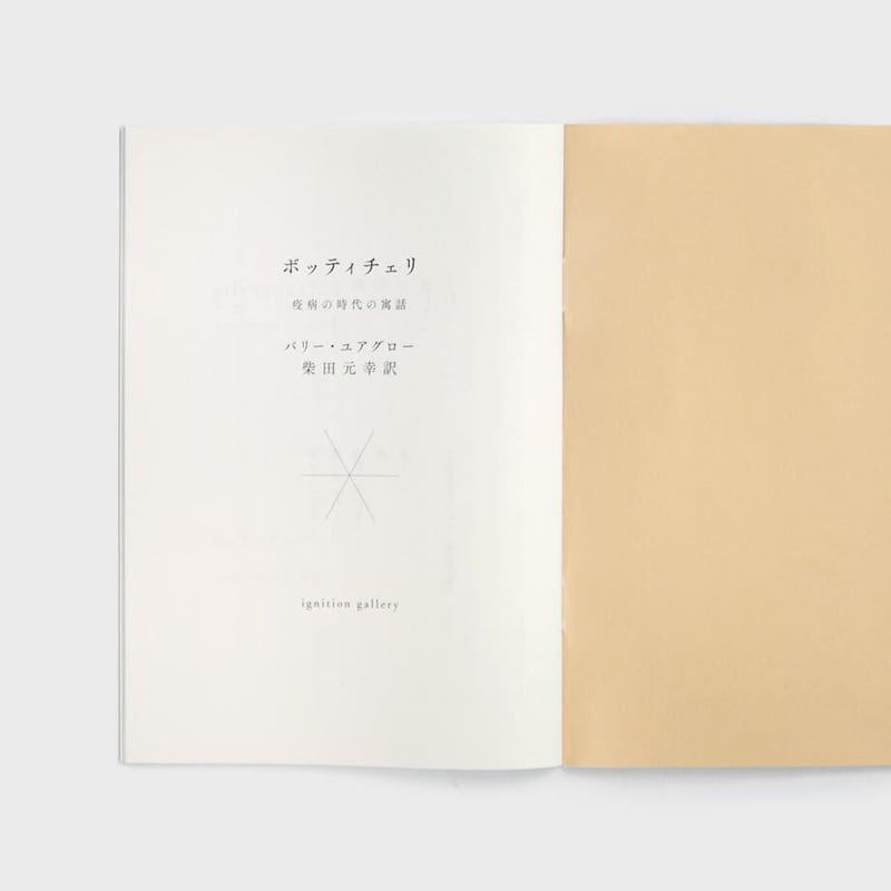 BOTTICELLI Barry Yourgrau 著 ボッティチェリ 疫病の時代の寓話 』《5刷》バリー・ユアグロー／訳