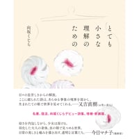『とても小さな理解のための』向坂くじら