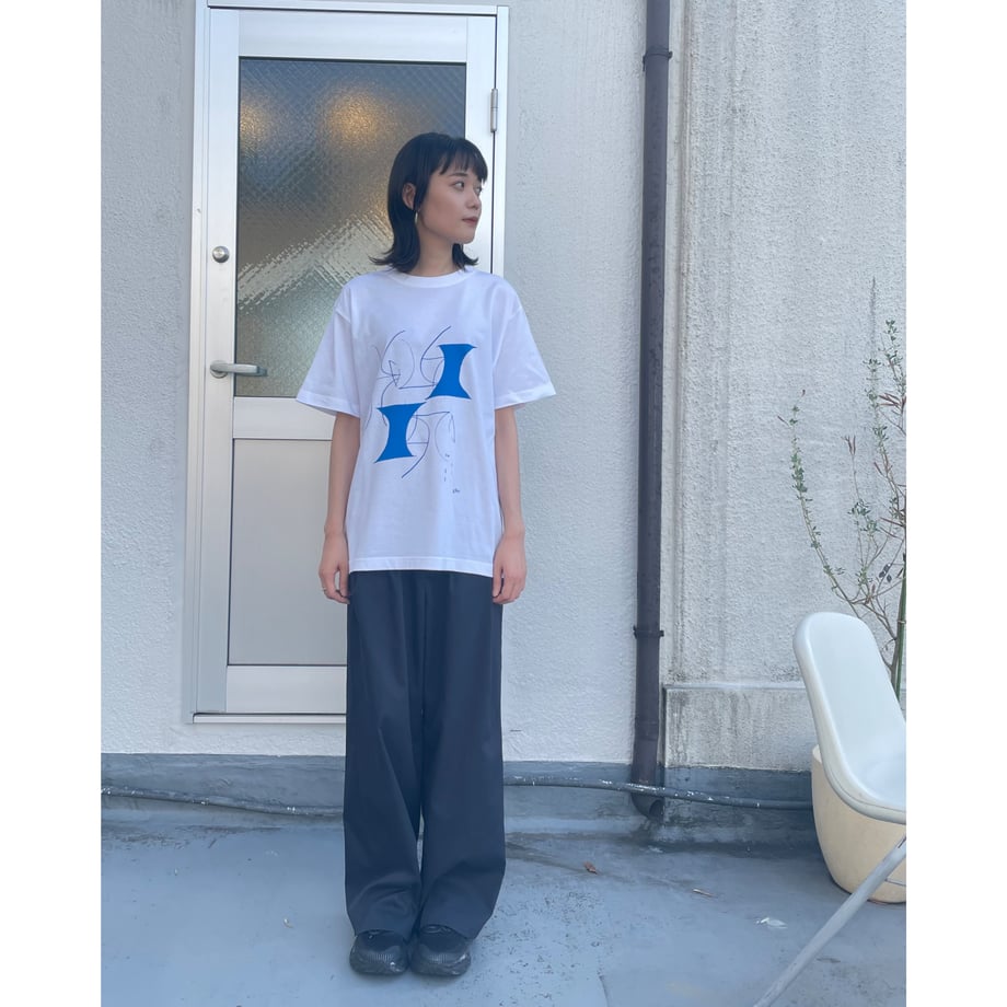 66d31b5a96bb9505a94afb5f