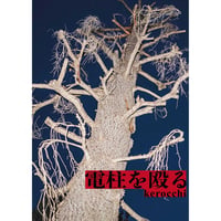 『電柱を殴る』kerocchi