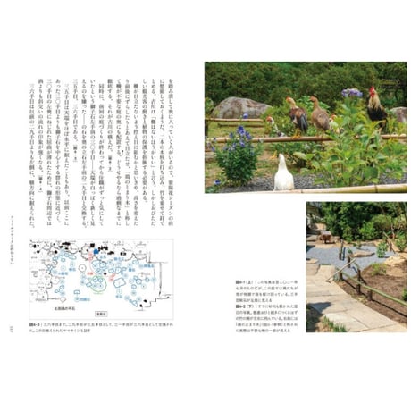 『庭のかたちが生まれるとき 庭園の詩学と庭師の知恵』山内朋樹