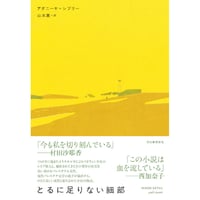 『とるに足りない細部』アダニーヤ・シブリー / 訳：山本薫