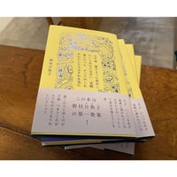 『百年後  嵐のように恋がしたいとあなたは言い  実際嵐になった  すべてがこわれわたしたちはそれを見た』 野村日魚子