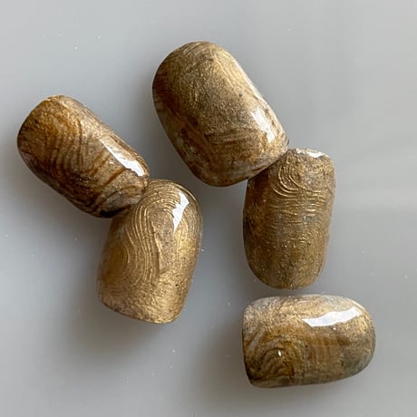 uña pigment 05 < neutral gold>