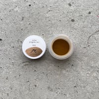 uña pigment 01 < raw sienna >