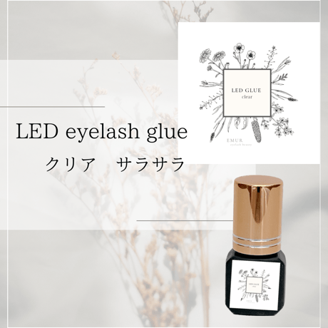 LASH(ラッシュ)Retrospect WAYNE(47) AB アクセサリー｜その他