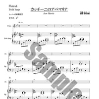21.カッチーニ/アベ（ミロ/Fl.＆34弦）