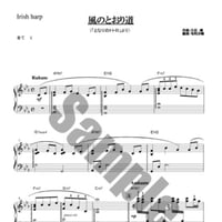 11.風のとおり道（34弦レバーハープソロ）