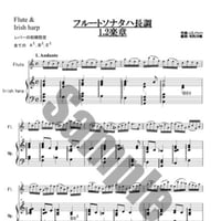 13.バッハフルートソナタ1、2楽章（Fl.＆34弦）