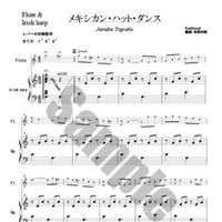 22.メキシカンハット（Fl.＆34弦）