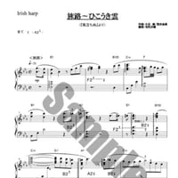 10.旅路～ひこうき雲（34弦レバーハープ）
