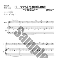 3.モーッアルト40番（Fl.＆34弦）