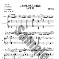 13.バッハフルートソナタ1、2楽章（Fl.＆小型）