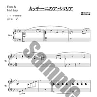 2.カッチーニのアベマリア（Fl.＆34弦）