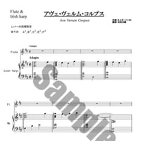 14.アヴェ・ヴェルム（Fl.＆34弦）