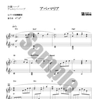 13.カッチーニのアベマリア（22弦ソロ）