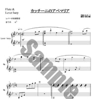 2.カッチーニのアベマリア（Fl.＆小型）