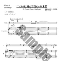 15.コンドル～八木節（Fl.＆34弦）