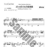13.ゴールドベルクHealing（小型ハープ）