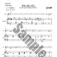20.サリーガーデン（Fl.＆34弦）