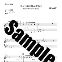 344.コンドルは飛んで行く（小型Easy）